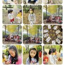 동화자연식물원 이미지