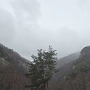 지광 이미지