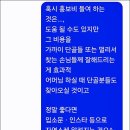 상호 회점빵으로 다시 연, 자연산으로만 횟집 광주