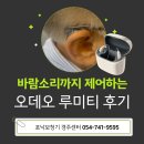 오데오 | 경주 오픈형 보청기로 오데오 루미티 착용 후기