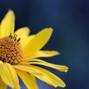 부산진구-33 이미지