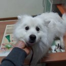 양천구청 이미지