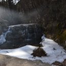 윤미자농장 이미지