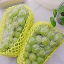 서진농장2 이미지