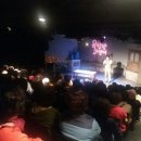 옥탑방 고양이 이미지