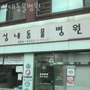 성내동물병원 | 강동구 성내2동 동물병원 성내동물병원 진료시간 접근성 이용후기