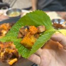 광양회관 | 광양중동맛집,광양쭈꾸미맛집 냉동회관 쭈삼후기