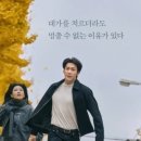 리플리