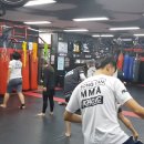 본주짓수아카데미송탄/9시반부/레슬링훈련/MMA/이충동운동/자기방어/호신술/다이어트 이미지