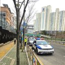 주정차단속-16 이미지