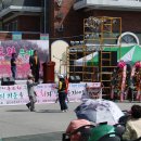 금산 홍도인삼마을 홍도화축제 2010. 1. 16-18일까지 많이 보러 오세요 이미지