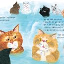 고양이 목욕탕 이미지