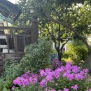 하늘꽃 펜션 이미지