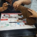 파파동물병원 이미지