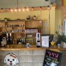 애견카페,애견유치원 멍선생 이미지