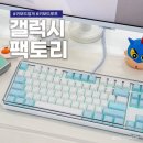pc 팩토리 | 키보드덮개 아크릴 주문제작 다얼유 키보드루프 갤럭시팩토리