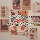 인천 가정동 케이크 맛집 &#39;오늘은 케이크&#39;(단골 후기, 내돈내산)