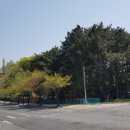 양덕동583 이미지