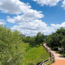 새힘한의원 이미지