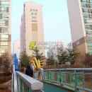 분당-397 이미지