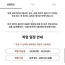 2024 소피텔 쟈뎅 디베르 크리스마스케이크 라 부쉬 일루미나미옹 현장구매 후기, 종류, 꿀팁