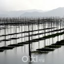 남도바다 네이버블로그