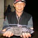 어심바다낚시터 이미지