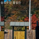슬로우인풀빌라