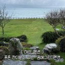 꿈에그린 | [태안 숙소]가족여행 감성펜션 “꿈에그린” 내돈내산 솔직후기