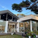 늘,파인 이미지