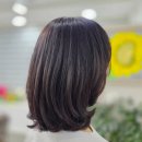 더칼라 | [압구정 로데오 미용실] 더칼라라운지에서 경험한 프리미엄 복구펌 후기