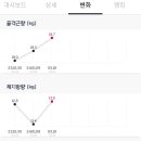 디얼파이 이미지