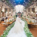 라온제나 이미지