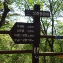 여주-0952 Daum카페