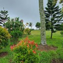 클루시브 이미지