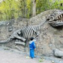 고산골 공룡공원 벽 이미지