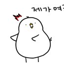 에버그린캠핑장 이미지