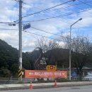 자라섬째즈길 | 2024 자라섬 재즈페스티벌 리얼 후기와 필수 준비물 / 옐로우테일 와인 추천