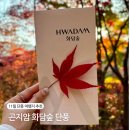 (주)화의 | 곤지암 화담숲 단풍 11월 셋째주 후기 취소표 예약 모노레일 탑승