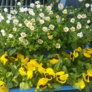 농업기술센터 농업미생물관 이미지