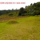 하개명마을회관 네이버블로그
