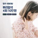 영머리방 이미지