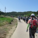 제21회서산시장기 생활체육 서산시 산악연맹주관 등산대회 성료 이미지