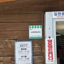 매돈정육마트 네이버블로그