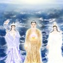 삼보통상 이미지