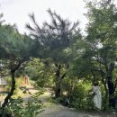 귀곡 | 가평 애견동반 식당: 귀곡산장 메뉴중에 이건 꼭 먹어보세요!!