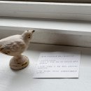 예래동새마을금고 | [썬샤인워크] 제주 서귀포 감성 가득한 분위기 좋은 카페 추천