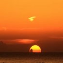 충혼 | 영덕 일출 여행지 코스 갈만한곳 | 고래불해수욕장 | 경북 가볼만한곳