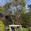 담양레이나CC 이미지