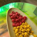 바우푸드협동조합 이미지